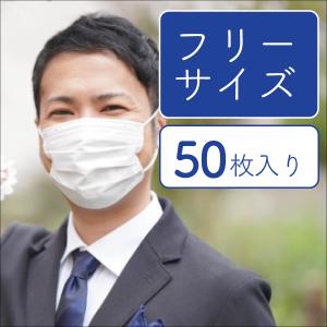 不織布フィットマスク フリーサイズ 30枚入り 安心の3層構造 立体感 通気性抜群 男女兼用 ノズルワイヤー 柔らか耳ひも 耳痛くなりにくい 風邪予防 花粉対策