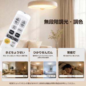 AVTVA CL-RNS2 IRIS OHYA...の詳細画像1