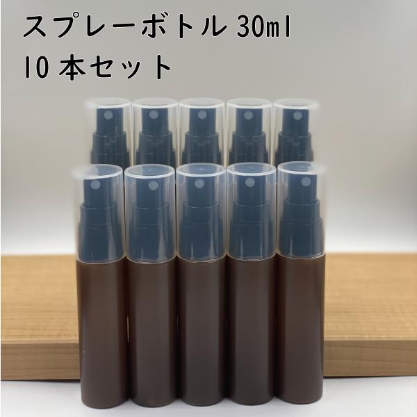 スプレー プラスチック(茶色) 30ml　10本セット