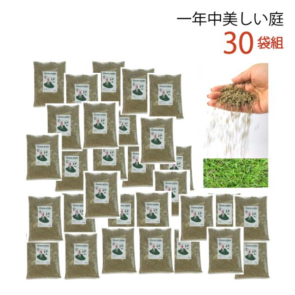 30袋組 西洋芝 種 夏に強い 4種類混合 天然芝生 庭 おしゃれ ガーデングラス 植え方や時期の説...