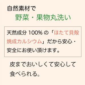 野菜洗剤 農薬除去 ホタテパウダー 野菜洗浄剤...の詳細画像5