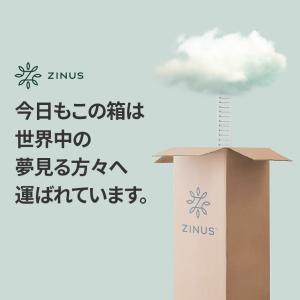 外装不良品 良品アウトレット ZINUS Mo...の詳細画像5