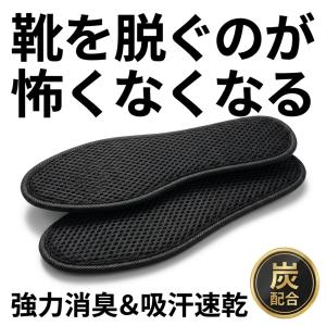インソール 中敷き 消臭 メッシュ 薄型 スリム...の商品画像