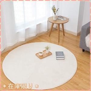 VK Living 円形 ラグ 洗える 吸水 速乾 滑り止め付 防ダニ 抗菌 防臭 直径140cm 1年中使えるタイプ 洗いやすい 床暖