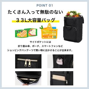 ショッピングカート 保冷 買い物 5輪 軽量 ...の詳細画像4