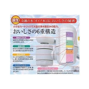 ガイアの水135 蛇口用浄水器 カートリッジ付...の詳細画像3