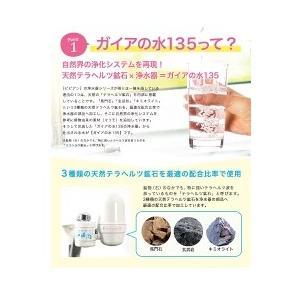 ガイアの水135 ガイアライトボトル 500m...の詳細画像5