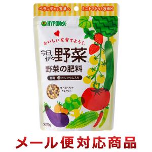 ハイポネックスジャパン 今日から野菜 野菜の肥料 300g（2個までメール便対応）｜zkz