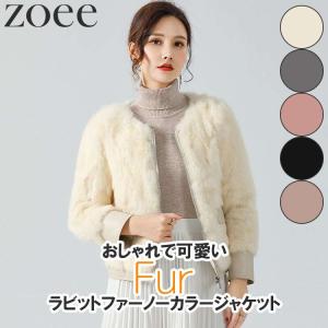 sankyo shokai（三京商会） 毛皮/ファージャケット/シルバーフォックス