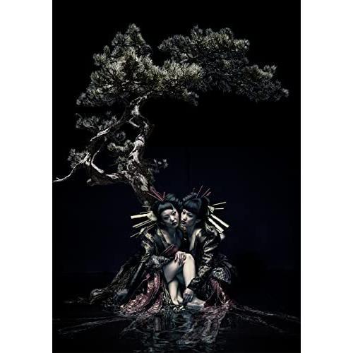 BD/the GazettE/the GazettE LIVE TOUR 12-13(DIVISIO...