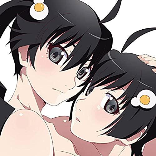 CD/アニメ/偽物語&amp;猫物語(黒) Original Soundtracks