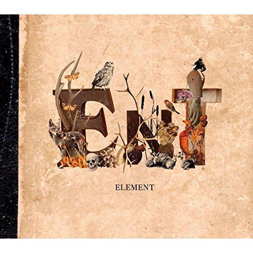 CD/ent/ELEMENT (初回限定盤)