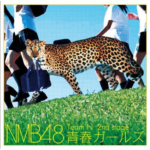 CD/NMB48/Team N 2nd stage 青春ガールズ