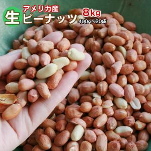 生ピーナッツ 合計8kg 400g×20袋セット 当店の販売終了 メーカーにお問合せください