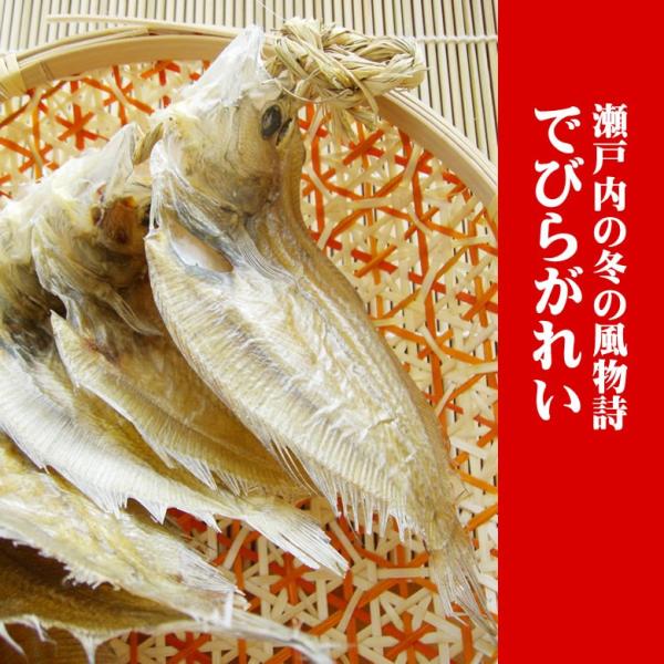 でびらかれい国産 干物 100g 天然物 瀬戸内海産コノハカレイ使用 でべら 出平鰈 宅配便のみ