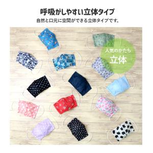 マスク 子供 抗菌防臭 洗える 立体型 布マス...の詳細画像1