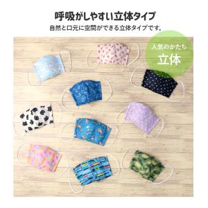 マスク 子供 抗菌防臭 洗える 立体型 布マス...の詳細画像1