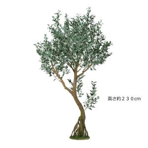 人工樹木　人工観葉植物　大型　ブラックオリーブ コアッド(VOL10/17)