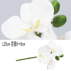 ファレノプシス 胡蝶蘭 造花 アレンジ asca アスカ コチョウランピック×3 ツボミ×2 ホワイト(as250/76)｜造花ディスプレイ ドットコム