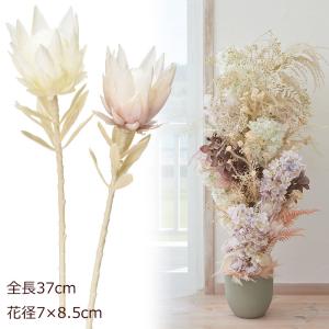 アスカascaドライフラワー造花プロテア(as250/9)｜zoukasousyoku-d