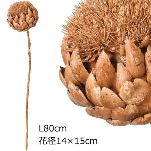 アスカascaアーティチョーク　ライトブラウン ドライ(as250/118)｜zoukasousyoku-d