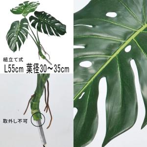 サトイモ 造花 アレンジ asca アスカ モンステラ(組立テ式) グリーン(as250/98)｜zoukasousyoku-d