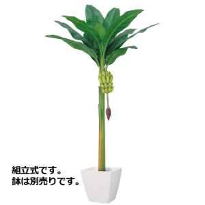 アジアン 造花 フェイクグリーン 人工観葉植物)バナナツリー(L)(房バナナ付)(GL120) 在庫かぎり｜zoukasousyoku-d