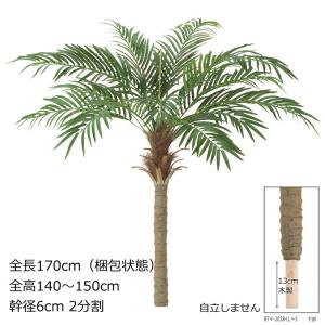 ヤシの木 観葉植物 170cmの商品一覧 通販 Yahoo ショッピング