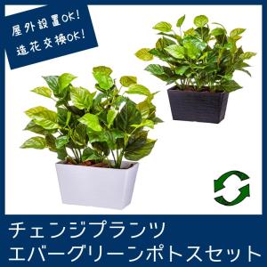 屋外 寄せ植え フェイクグリーン 造花 おしゃれ チェンジプランツ エバーグリーンポトスセット｜zoukasousyoku-d