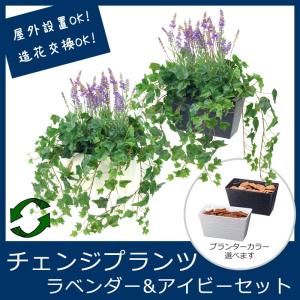 屋外 寄せ植え フェイクグリーン 造花 チェンジプランツ ラベンダー＆アイビーセット｜zoukasousyoku-d