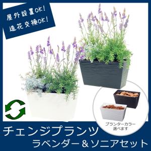 屋外 寄せ植え フェイクグリーン 造花 チェンジプランツ ラベンダー＆ソニアセット｜zoukasousyoku-d