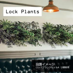 人工観葉植物　壁掛　ウォールグリーン　インテリア　ロックプランツセットA｜zoukasousyoku-d
