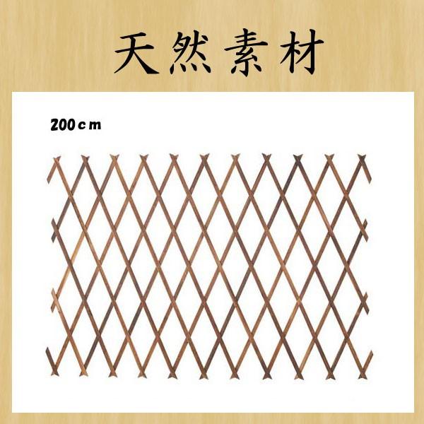 ディスプレイ 店舗 装飾 天然)200cm焼き杉トレリス(DF46/129)
