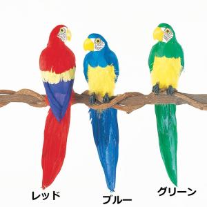 夏 サマーディスプレイ トロピカル 鳥) オウム(L) グリーン(GL134) 在庫かぎり｜zoukasousyoku-d