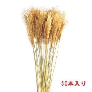 秋 収穫 装飾 ディスプレイ)ススキ N(DF46/127)｜zoukasousyoku-d