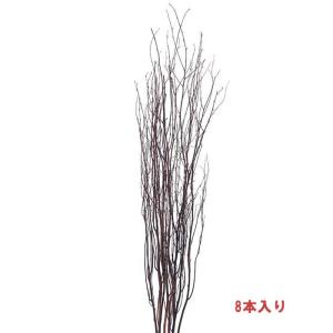 秋 枯れ 装飾 ディスプレイ)1m白樺小枝 N (8本パック)(DF46/127)｜zoukasousyoku-d