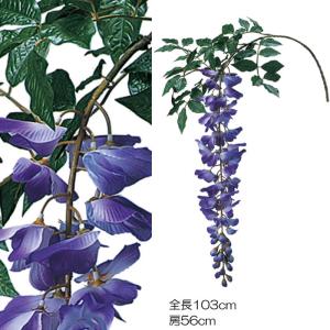 藤大房 12本セット(VI60.27)｜zoukasousyoku-d