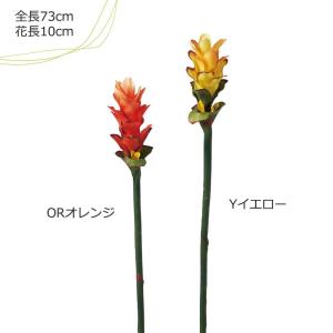 クルクマ 花の商品一覧 通販 Yahoo ショッピング