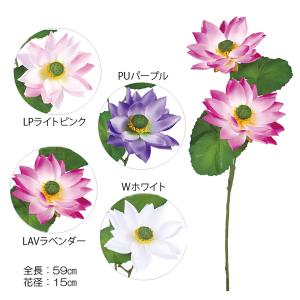ロータス×2(DMFG2025/51)｜zoukasousyoku-d