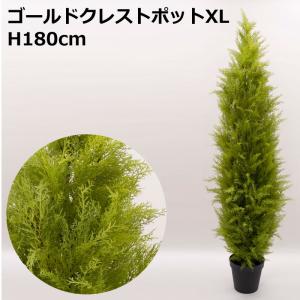 H180cmゴールドクレストポット（XL） 人工観葉フェイクグリーン鉢付(VI60/10)｜zoukasousyoku-d