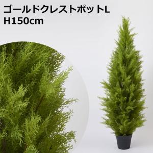 H150cmゴールドクレストポット（L） 人工観葉フェイクグリーン鉢付(VI60/10)｜zoukasousyoku-d
