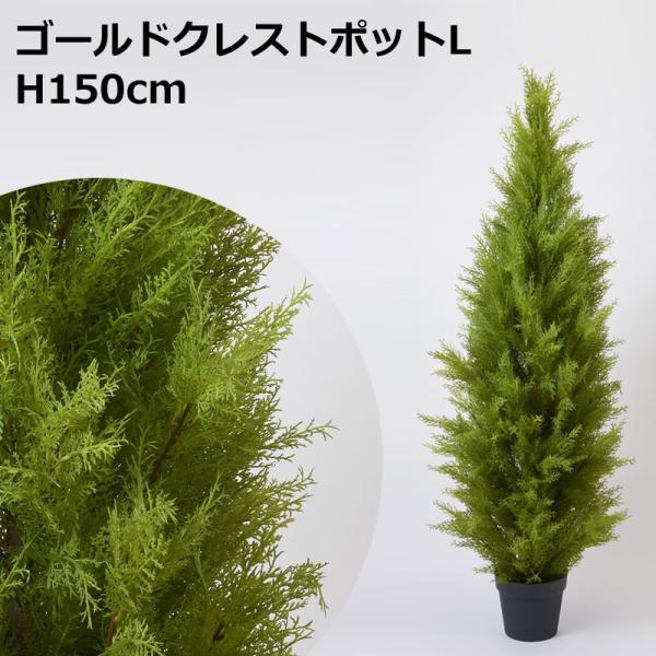 H150cmゴールドクレストポット（L） 人工観葉フェイクグリーン鉢付(VI60/10)
