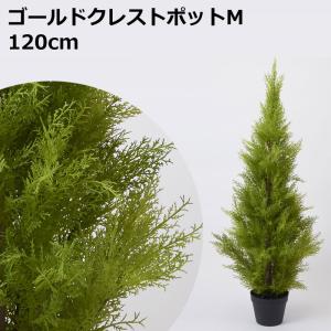 H120cmゴールドクレストポット（M） 人工観葉フェイクグリーン鉢付(VI60/10)｜zoukasousyoku-d