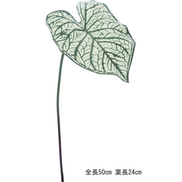造花 フェイクグリーン 人工観葉植物 カラジウム ハイモ カラジュームリーフ Mグリーン(DMFG2...