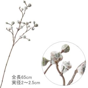 ユーカリ テトラゴナの商品一覧 通販 Yahoo ショッピング