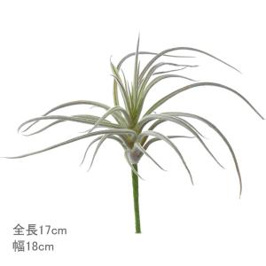 造花 フェイクグリーン 人工観葉植物 エアプランツ)スパイダーチランジア　ホワイトグリーン(DMFG2023/171)｜zoukasousyoku-d