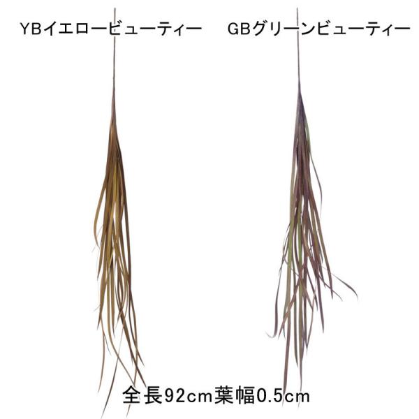 造花 人工樹木 フェイクグリーン インテリア 素材 カラードミスカンサスバイン(DMFG2023/1...