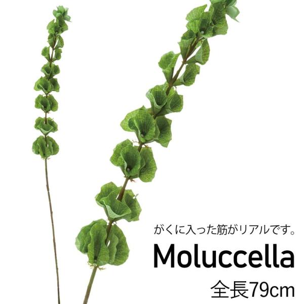 造花 人工観葉植物 フェイクグリーン モルセラ(DMFG2023/168)