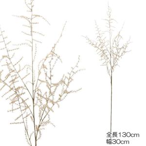 ボヘミアンテイスト ドライロングアスパラスプレー  ベージュ(DMFG2023/151)｜zoukasousyoku-d