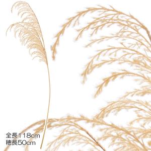 ボヘミアンテイスト ナチュラルテイスト フェイク ハンドメイド パンパススプレー  ベージュ(DMFG2023/145)｜zoukasousyoku-d